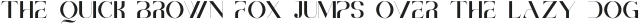 Brescia Regular otf (400)