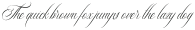 Rhapsody Script Regular otf (400)