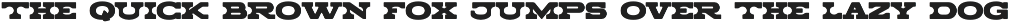 Zorro Font Duo preview