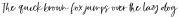 Small Things Script Regular otf (100)