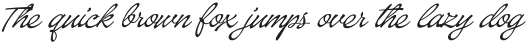 Baystar Script Light otf (300)