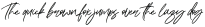 Maitland Script Italic otf (400)