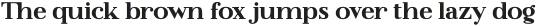 Flatline Serif Heavy otf (800)