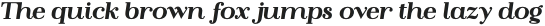 Flatline Serif Heavy Italic otf (800)