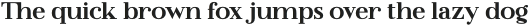 Flatline Serif ExtraBold otf (700)