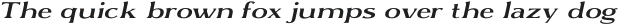 OPTIMUS Light Extended Italic otf (300)