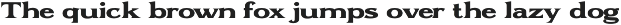 Optimus - Serif font family preview
