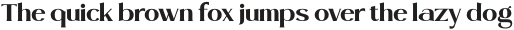 Miguel Medium otf (500)