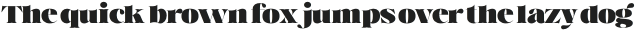 Voire Display Black otf (900)