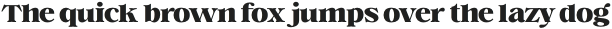 Voire Bold otf (700)