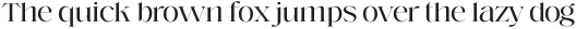 Voire Display Light otf (300)