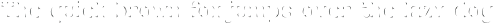 FireNeedle FireNeedle texture otf (400)