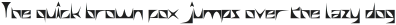 swallow Bold otf (700)