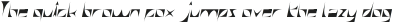 swallow Italic otf (400)