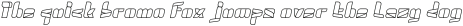 SWIMMER BROWSER Italic otf (400)