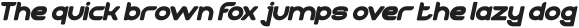 TECHNIQUE Bold Italic otf (700)