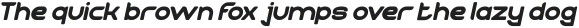 TECHNIQUE Italic otf (400)