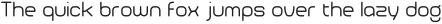 Rubbo Light otf (300)