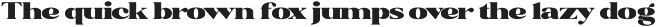 Rochie - Bold Retro Serif Font preview
