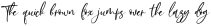 BethanySignature otf (400)