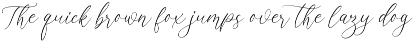Opera Signature | Font Duo font preview