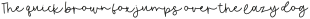 Wavelength Script Regular otf (400)