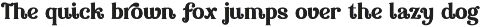 Vintage font font preview