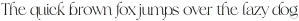 Frunchy Serif Light otf (300)