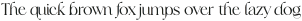 FrunchySerif-Regular otf (400)