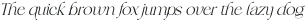 Frunchy Serif Italic Light otf (300)