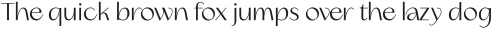 Erotique Text Regular otf (400)