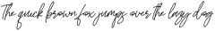 Noah Letter Italic otf (400)