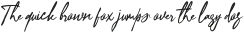 Ottenthic Script otf (400)