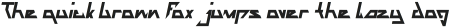 THE TRAINING ARTIST Bold Italic otf (700)