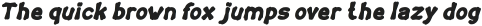 TORTOISE Italic otf (400)