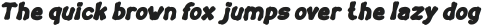 TORTOISE Bold Italic otf (700)