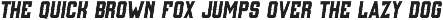 Woodchuck 0216 Display Typeface preview