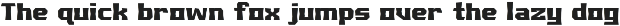 HYDJAKIDS Display Type preview