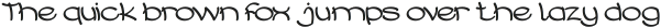 UMBRELLA Bold otf (700)