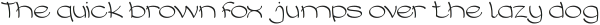 UMBRELLA-Light otf (300)