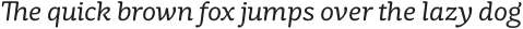 Mayonez Light Italic otf (300)