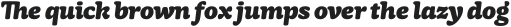 Mayonez Heavy Italic otf (800)