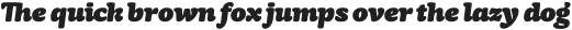 Mayonez Black Italic otf (900)