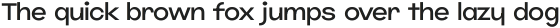 Jumper Light ttf (300)