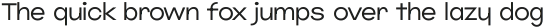 Jumper Thin ttf (100)