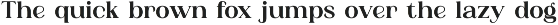 Adibafih - Casual Serif Font preview