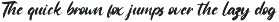 Rattoney - Bold Script Font preview