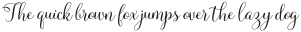 Molly Script Slant otf (400)