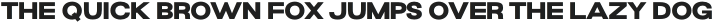 Grand Wilson Sans otf (400)