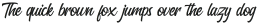 The Athletico - Script otf (400)